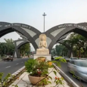 IT services in Noida